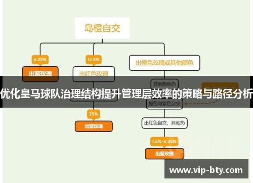 优化皇马球队治理结构提升管理层效率的策略与路径分析