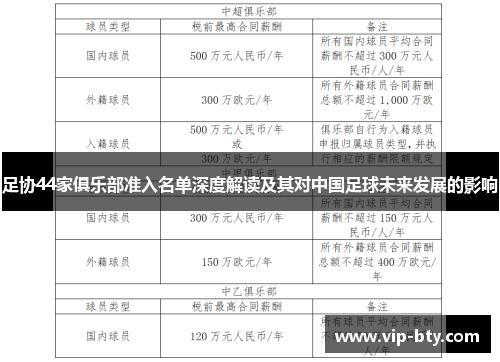 足协44家俱乐部准入名单深度解读及其对中国足球未来发展的影响