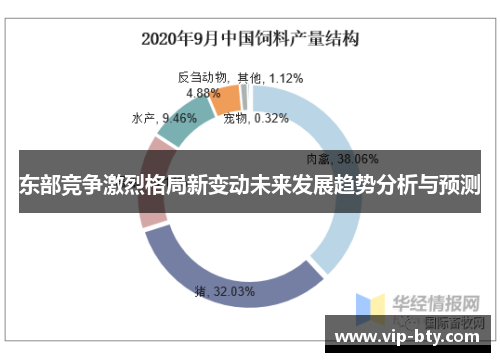 东部竞争激烈格局新变动未来发展趋势分析与预测
