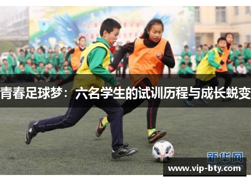 青春足球梦：六名学生的试训历程与成长蜕变